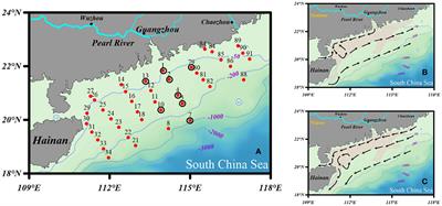 Distribution and dissolution kinetics of biogenic silica in sediments of the northern South China Sea